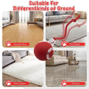 SPOVEN Interactive Cat & Dog Toys - USB Rechargeable Fast Rolling Ball with Bird Chirping & Light - Anti-Depression Pet Fun Gift - Red Color - 6.3X6.0X5.0Cm