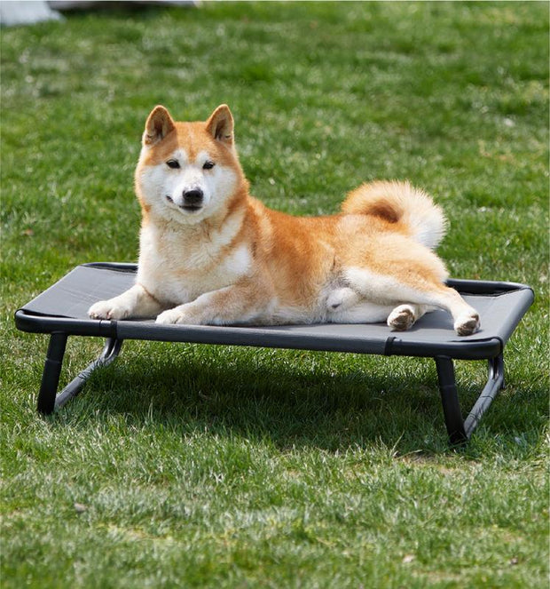 Valuxe Made4Pets Cooling Elevated Dog Bed - Portable Raised Cot with Washable Mesh & No-Slip Feet for Indoor & Outdoor Comfort
