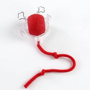 SPOVEN Interactive Cat & Dog Toys - USB Rechargeable Fast Rolling Ball with Bird Chirping & Light - Anti-Depression Pet Fun Gift - Red Color - 6.3X6.0X5.0Cm