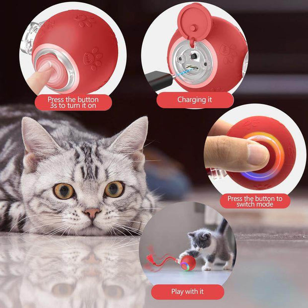 SPOVEN Interactive Cat & Dog Toys - USB Rechargeable Fast Rolling Ball with Bird Chirping & Light - Anti-Depression Pet Fun Gift - Red Color - 6.3X6.0X5.0Cm
