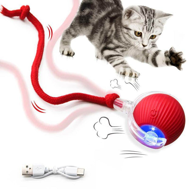SPOVEN Interactive Cat & Dog Toys - USB Rechargeable Fast Rolling Ball with Bird Chirping & Light - Anti-Depression Pet Fun Gift - Red Color - 6.3X6.0X5.0Cm