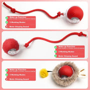 SPOVEN Interactive Cat & Dog Toys - USB Rechargeable Fast Rolling Ball with Bird Chirping & Light - Anti-Depression Pet Fun Gift - Red Color - 6.3X6.0X5.0Cm