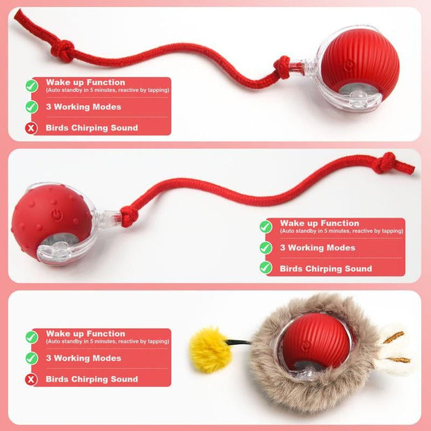 SPOVEN Interactive Cat & Dog Toys - USB Rechargeable Fast Rolling Ball with Bird Chirping & Light - Anti-Depression Pet Fun Gift - Red Color - 6.3X6.0X5.0Cm