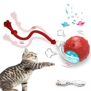 SPOVEN Interactive Cat & Dog Toys - USB Rechargeable Fast Rolling Ball with Bird Chirping & Light - Anti-Depression Pet Fun Gift - Red Color - 6.3X6.0X5.0Cm